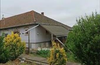 Eladó Felgyői tanya hirdetés (48934377)
