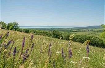 Eladó Balatoncsicsói üdülőövezeti telek hirdetés (75487379)