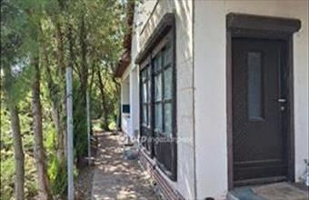 Eladó Mezőhegyesi családi ház hirdetés (93374747)