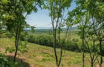 Eladó Balatoncsicsói hétvégi ház hirdetés (26954322)