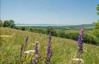 Eladó Balatoncsicsói üdülőövezeti telek hirdetés (74533847)