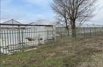 Eladó Debreceni külterületi telek hirdetés (93469362)