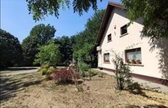 Eladó Szentkirályi egyéb mezőgazdasági ingatlan hirdetés (38354277)