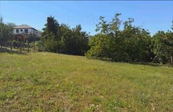 Eladó Balatonkenesei lakóövezeti telek hirdetés (54748379)