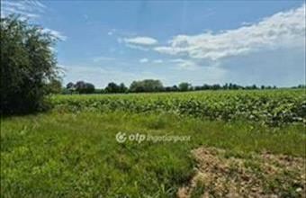 Eladó Balatonkeresztúri lakóövezeti telek hirdetés (36777962)