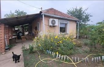 Eladó Kiskunfélegyházai tanya hirdetés (78144224)