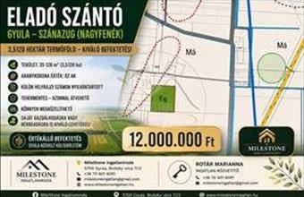Eladó Gyulai egyéb mezőgazdasági ingatlan hirdetés (75234879)