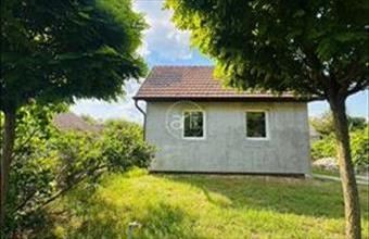 Kiadó Szatymazi családi ház hirdetés (23413541)