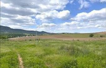 Eladó Ürömi lakóövezeti telek hirdetés (44362432)
