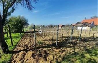 Eladó Monori termőföld, szántó hirdetés (94243779)