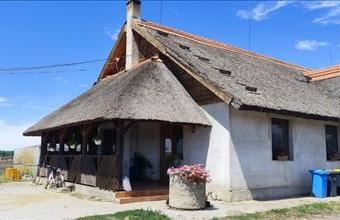 Eladó Újszentmargitai termőföld, szántó hirdetés (24458932)