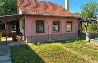 Eladó Mezőkovácsházai családi ház hirdetés (38593464)