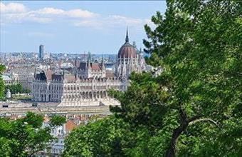 Kiadó Budapest II. kerületi tégla lakás hirdetés (99692366)