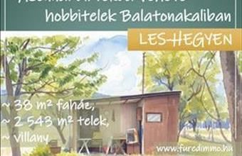 Eladó Balatonakali hétvégi ház hirdetés (98524331)