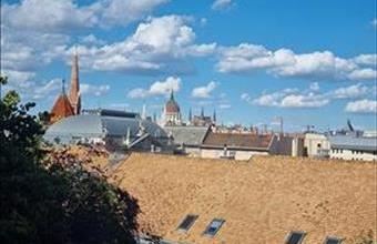 Kiadó Budapest I. kerületi tégla lakás hirdetés (35335395)
