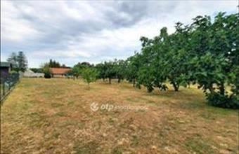 Eladó Balatonszárszói lakóövezeti telek hirdetés (29865957)