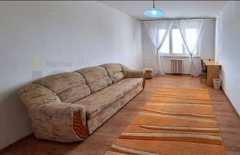 Kiadó Szegedi panel lakás hirdetés (29433775)