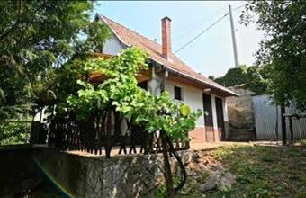 Eladó Szekszárdi tanya hirdetés (95293591)