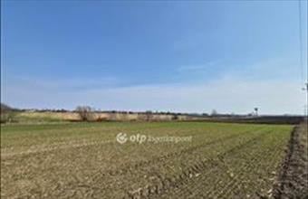 Eladó Iváncsai külterületi telek hirdetés (97331864)