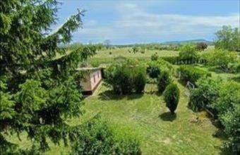 Eladó Balatonlellei családi ház hirdetés (64777951)