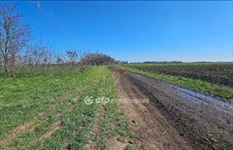 Eladó Szentesi hétvégi ház hirdetés (52539454)