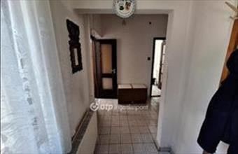 Eladó Mezőhegyesi családi ház hirdetés (73879377)