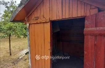 Eladó Csongrádi hétvégi ház hirdetés (46483243)