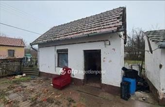 Eladó Csanyteleki családi ház hirdetés (77719224)