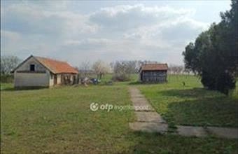 Eladó Csanyteleki családi ház hirdetés (34453248)