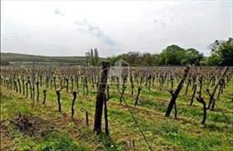 Eladó Pécselyi egyéb telek hirdetés (85557574)