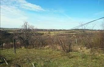 Eladó Balatonalmádi egyéb mezőgazdasági ingatlan hirdetés (14462557)
