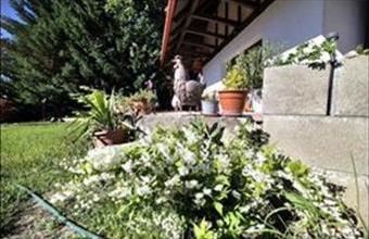 Eladó Tahitótfalui családi ház hirdetés (43654739)