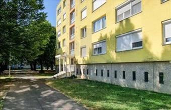 Eladó Szombathelyi panel lakás hirdetés (24934455)