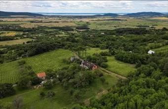 Eladó Köveskáli hétvégi ház hirdetés (62766379)