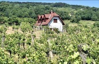 Eladó Balatonhenyei hétvégi ház hirdetés (33423553)