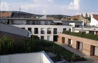 Kiadó Pécsi tégla lakás hirdetés (73499954)