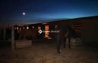 Eladó Fóti egyéb mezőgazdasági ingatlan hirdetés (27953357)