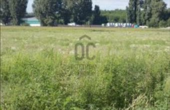 Eladó Felsőpakonyi egyéb mezőgazdasági ingatlan hirdetés (91538717)