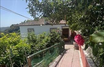 Eladó Spanyolországi tanya hirdetés (55244524)