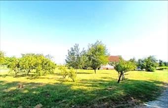 Eladó Balatonberényi hétvégi ház hirdetés (53582419)
