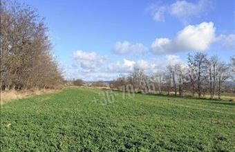 Kiadó Tatai egyéb mezőgazdasági ingatlan hirdetés (34331596)