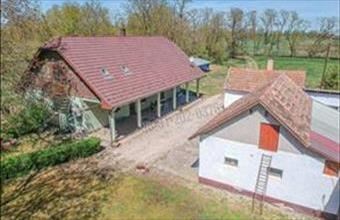Eladó Petőfiszállási tanya hirdetés (23737539)