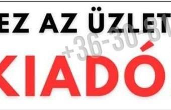 Kiadó Tatabányai egyéb üzlethelyiség hirdetés (57963477)