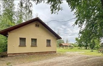 Eladó Szatymazi tanya hirdetés (23982957)