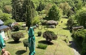 Eladó Verőcei hétvégi ház hirdetés (58561465)