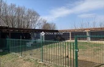 Eladó Őrbottyáni családi ház hirdetés (34384635)