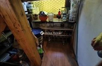 Eladó Domonyi hétvégi ház hirdetés (61454665)