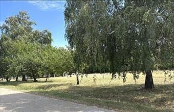 Eladó Bársonyosi külterületi telek hirdetés (73498447)