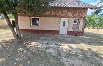 Eladó Tömörkényi családi ház hirdetés (28934977)