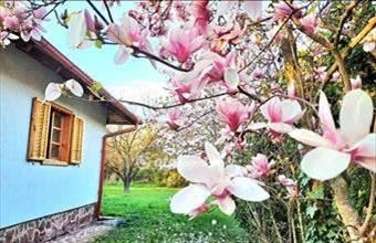 Eladó Balatonakarattyai családi ház hirdetés (58333743)